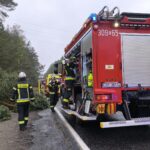 BMW-Bydgoszcz wypadek śmiertelny